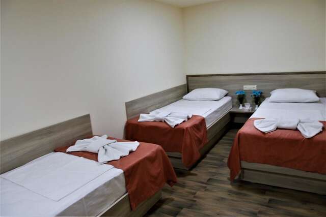 Отель Albert House Hotel and Tours Ереван-16